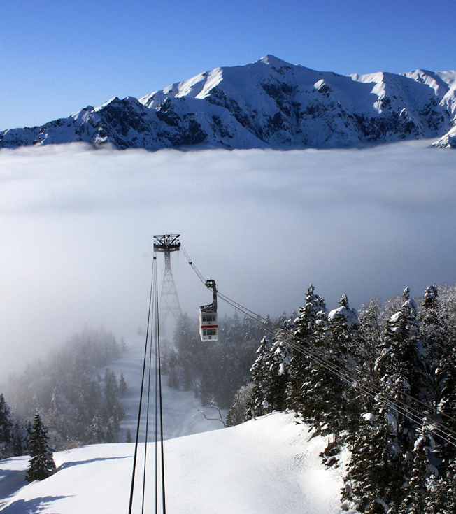 banner PARQUES vertical